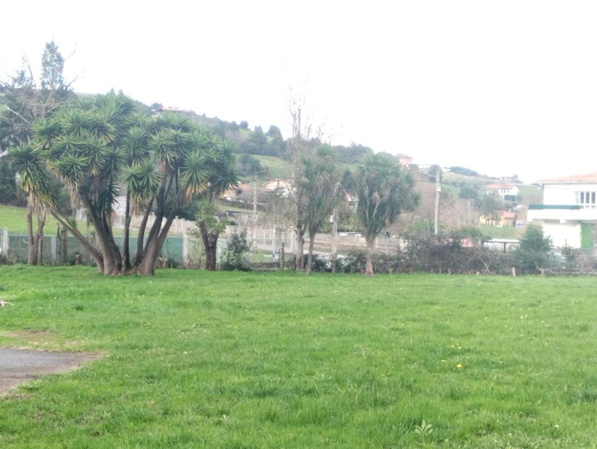 Las Palmeras Maison d'hôtes