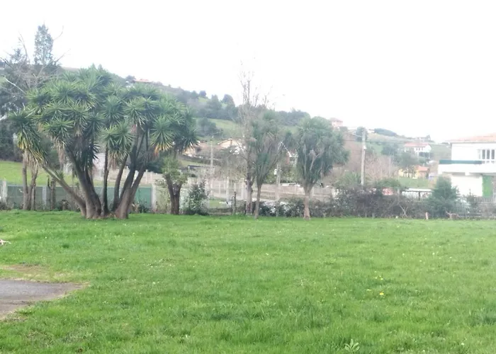 Las Palmeras