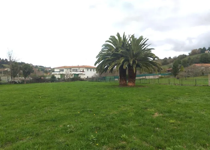 Las Palmeras