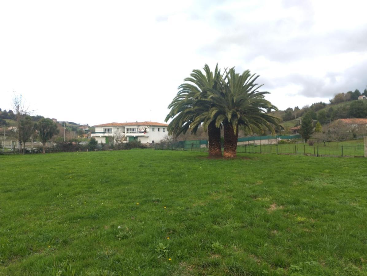 Las Palmeras Casa de hóspedes *
